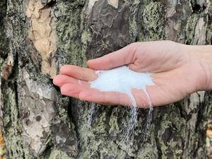 Resource-efficient and climate-friendly with - Vimarsana News