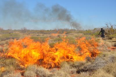 Hunting and Burning in the Australian Desert