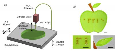 Diagram Showing FDM 3-D Printing Equipment