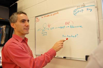 Mark J. Zylka, Ph.D.