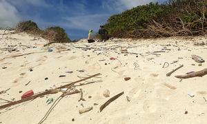 Beached plastics