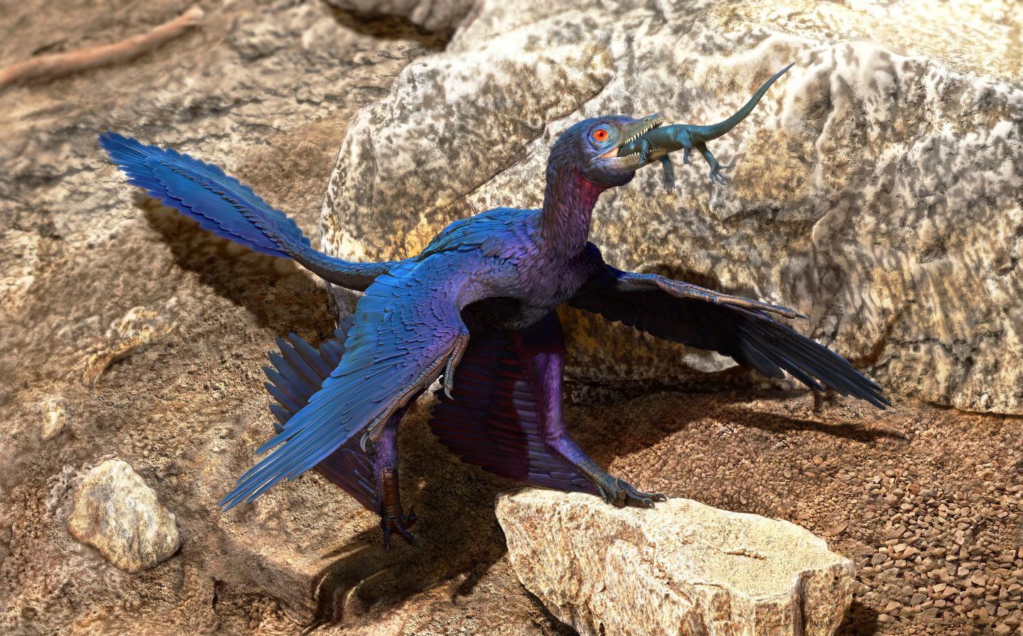 Illustration of the Lizard-Swallowing Microraptor