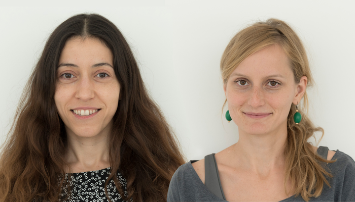 Shared first authors