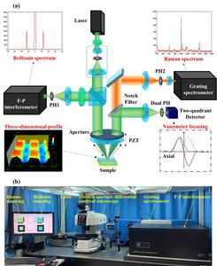 Fig. 1. Schematic configuration and instrument configuration of the DLDCRBSM system.