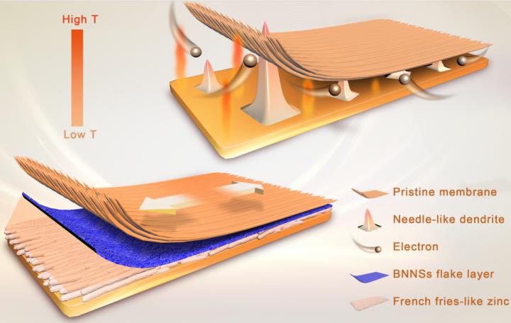 Schematic Illustration of the Synergistic Effect of Bnnss Flake Layer on Zinc Deposition