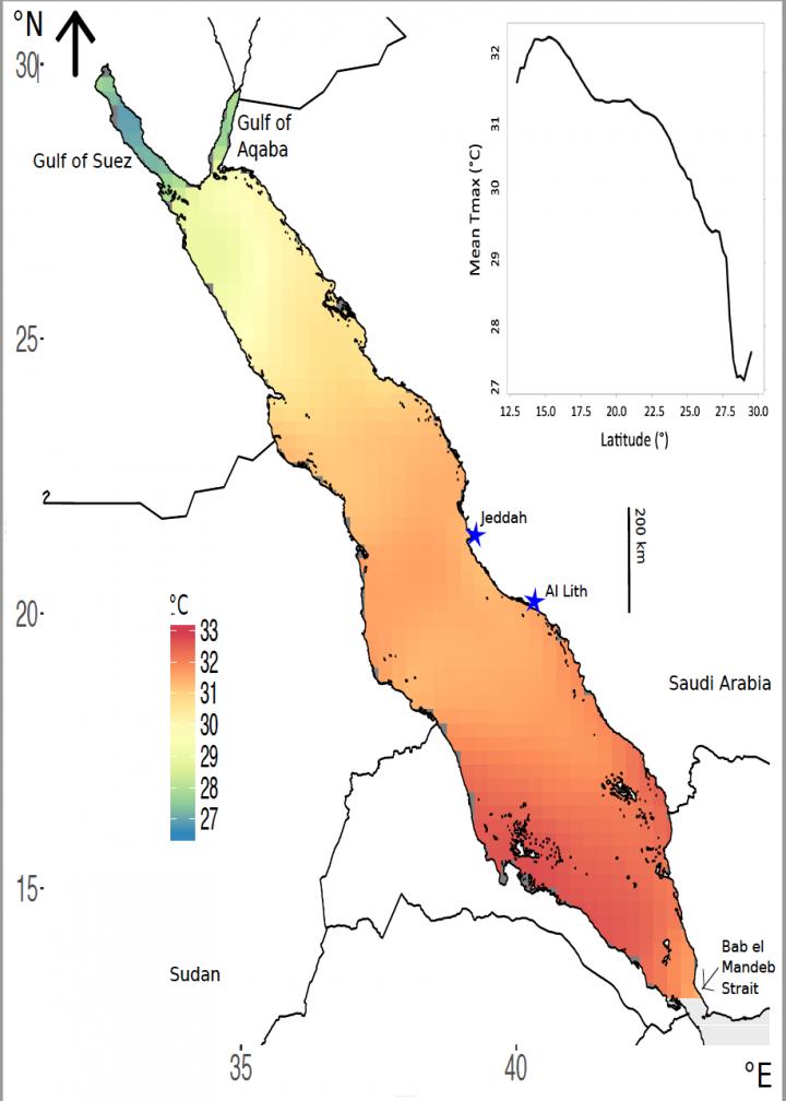 Red Sea Is Warming Faster Than Global Average