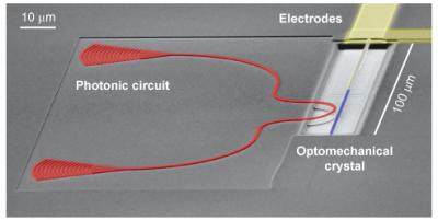 Integrated Quantum Device