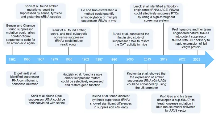 The development of suppressor tRNAs