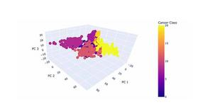 MicroRNA Signatures  to Detect and Classify Several Prominent Cancers