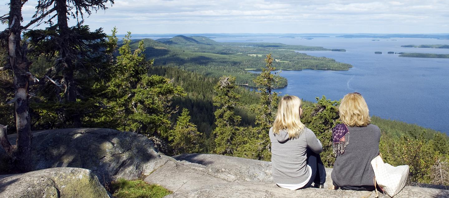 Koli National Park