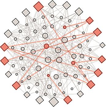 Synthetic Cell Wiring