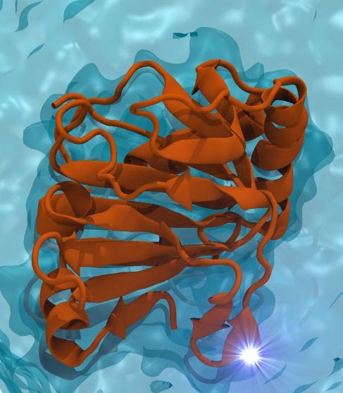 Novel Mutation May Be Linked to Prostate Cancer in African American Men