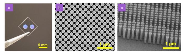 FIG 2 [IMAGE] | EurekAlert! Science News Releases