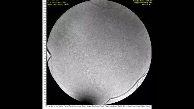 Borophene Island Growth