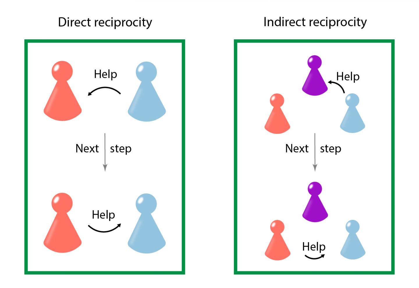 Illustration of direct and indirect reciprocity
