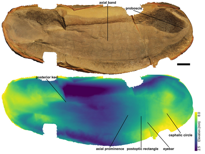 3D Scanning