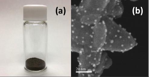 Figure 2 Platinum-Vanadium Bimetallic Nanoparticle Catalyst