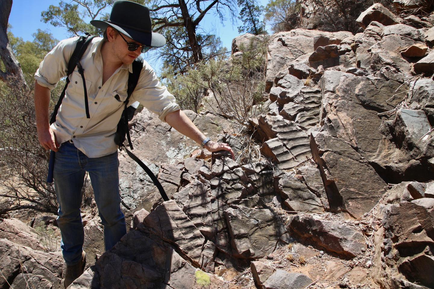 Formations rocheuses dans le parc national des Flinders Ranges