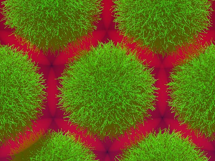 simulation of Microgels