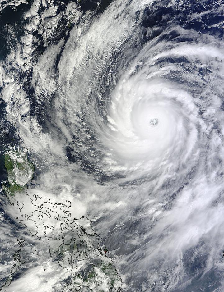 Terra Image of Vongfong