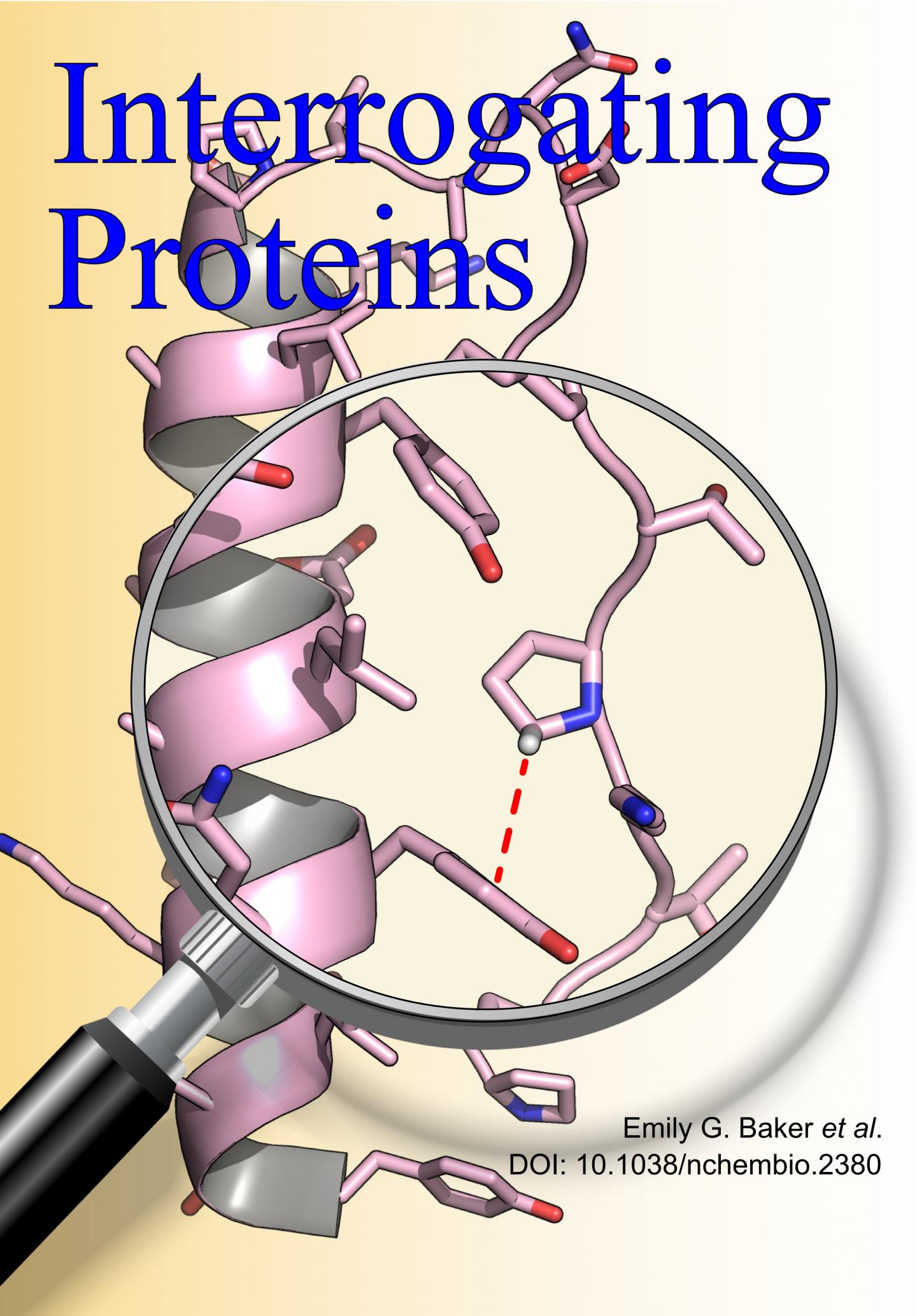 Interrogating Proteins