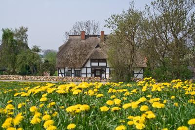 Cataract Effects (3 of 3)