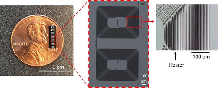 Microchip to Diagnose Eye for Disease