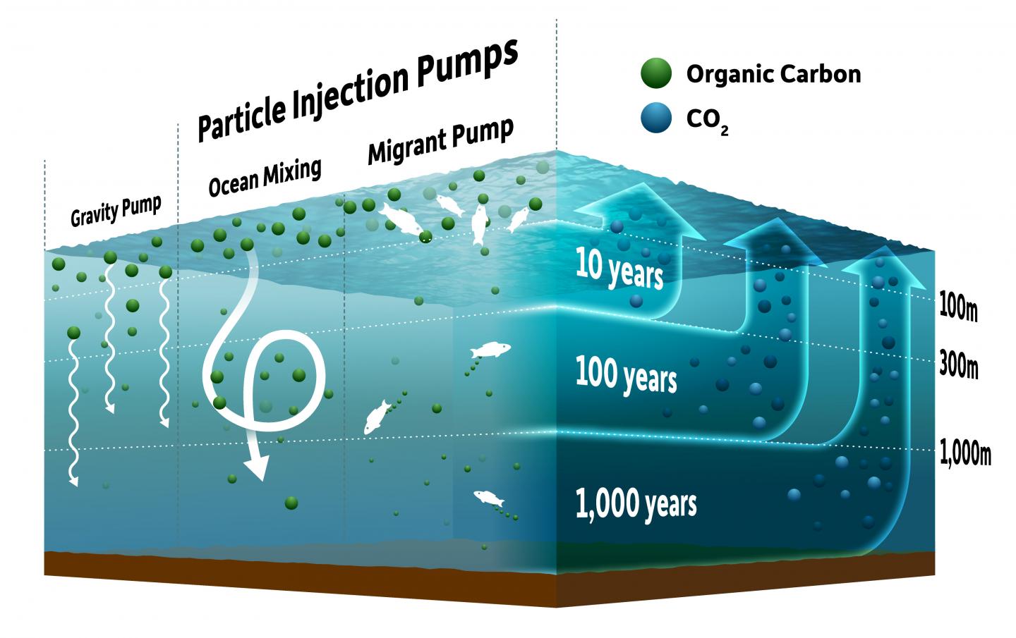 concentration-of-carbon-dioxide-in-the-atmosphere-hits-record-high