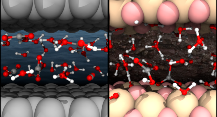 Dissolved CO2 in water under nanoconfinement