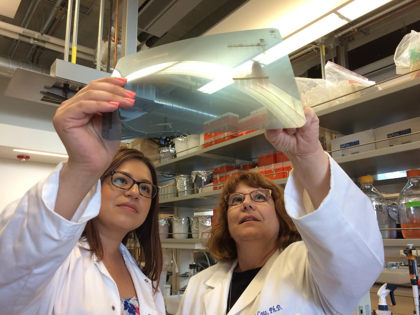 Nancy Lainez and Djurdjica Coss, University of California - Riverside 