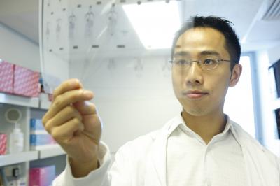 Dr. Paul Lee, Garvan Institute of Medical Research