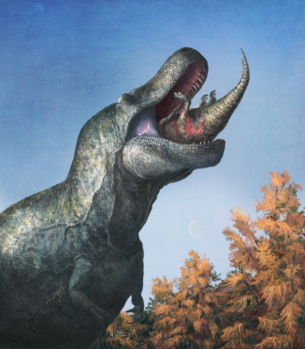 Tyrannosaurus lips PR image