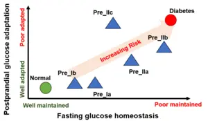 CGMformer subtyping non-diabetes with elevating onset and genetic risks for diabetes