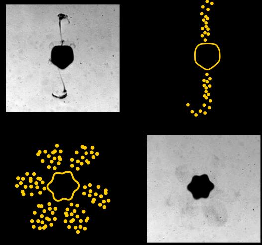 Nanoparticules