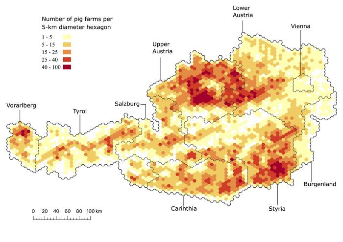 A map of Austria's pig trade network