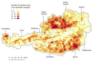 A map of Austria's pig trade network