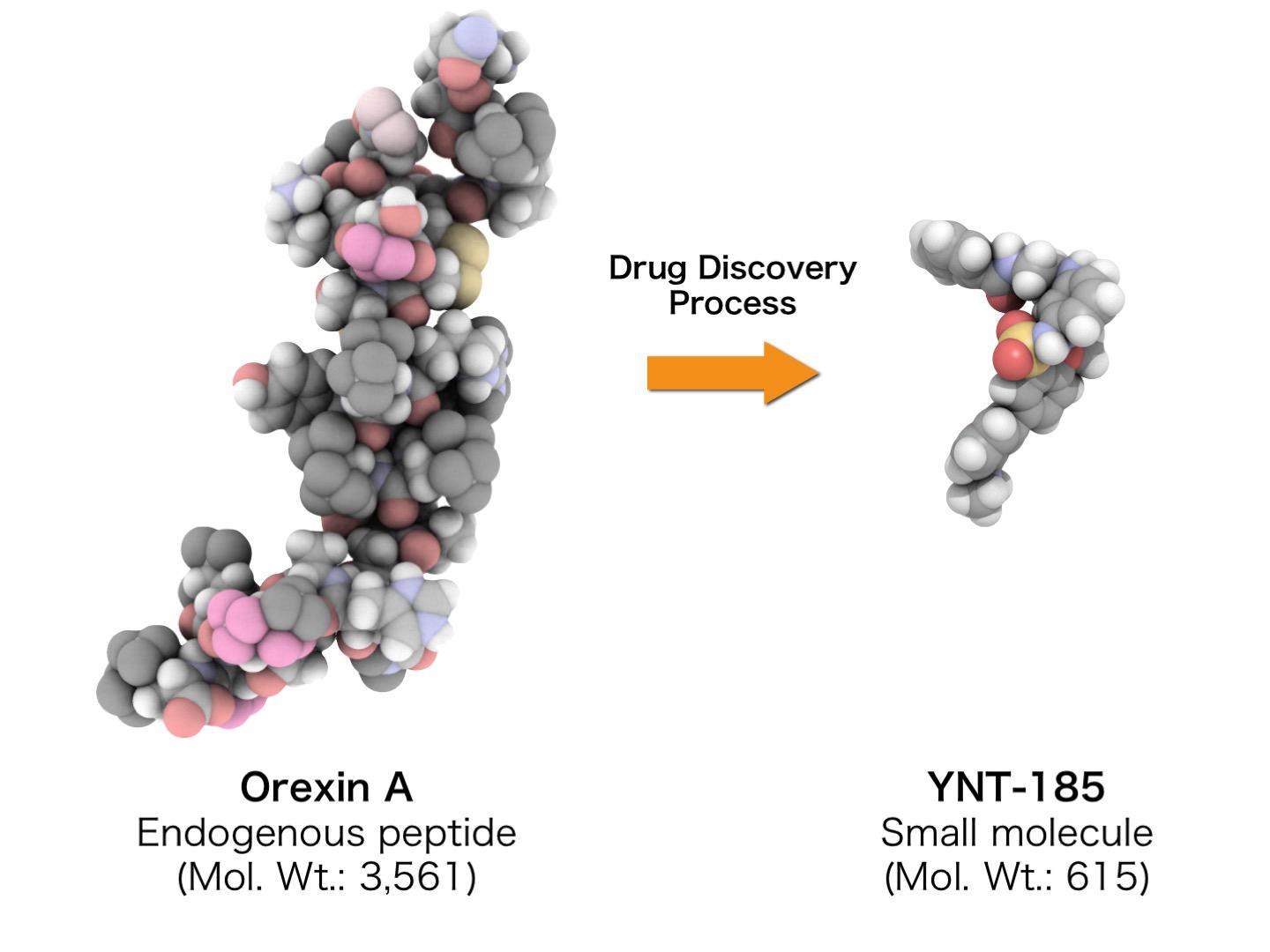 Wake-Promoting Compound Validated