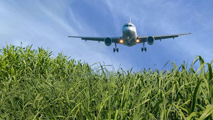 Hybrid approach to producing sustainable aviation fuel