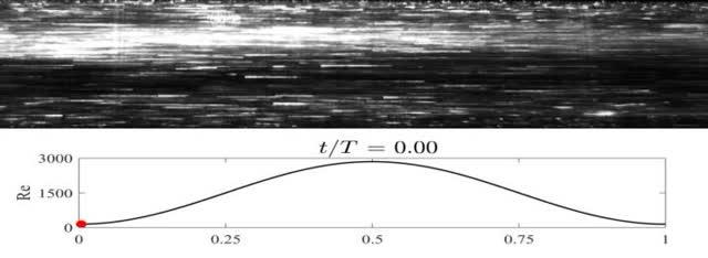 Flow Behavior during a Complete Flow Cycle