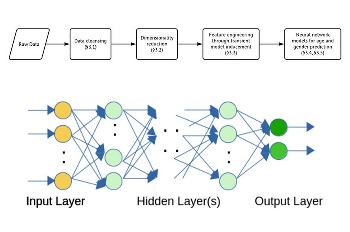 Predicting age and gender from network telemetry: Implications for privacy and impact on policy