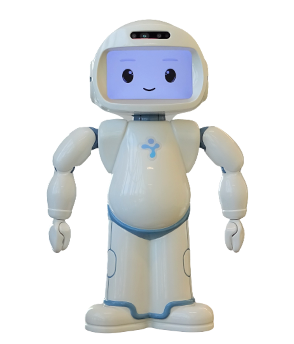 Small humanoid robot called QT