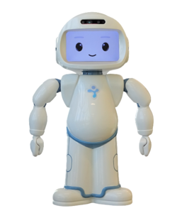 Small humanoid robot called QT