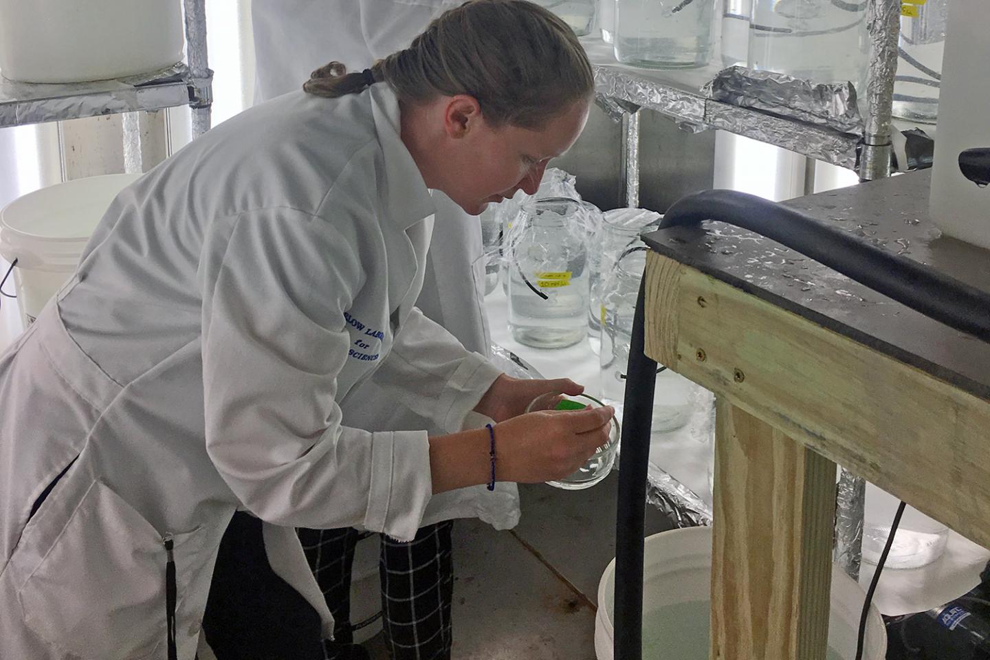 Madelyn Woods Working in Lab