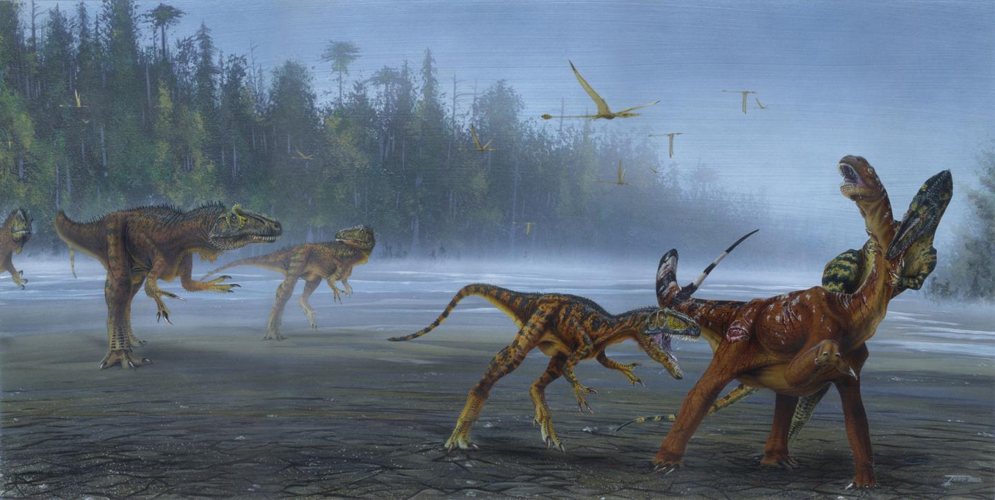 Allosaurus jimmadseni Attack Juvenile Sauropod