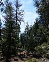A Tower at NSF's Southern Sierra