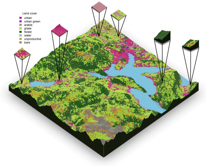 Improved functioning of diverse landscape mos  EurekAlert!