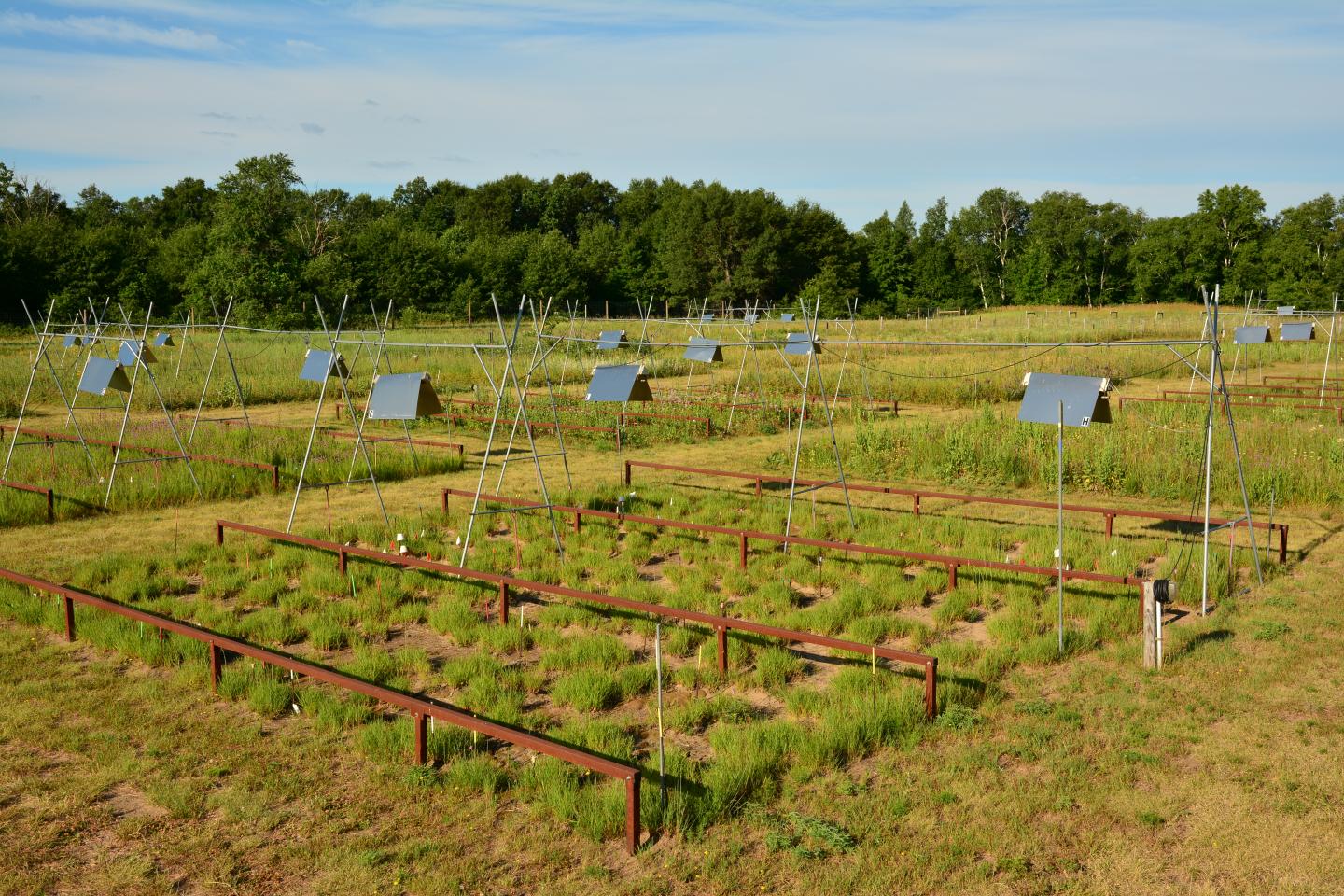 Experimental meadow plots with heating lamps