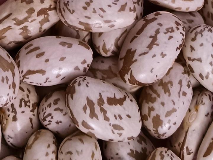 Red Bean Bag 25kg Kidney Beans Red Kidney Beans Wholesale Uk