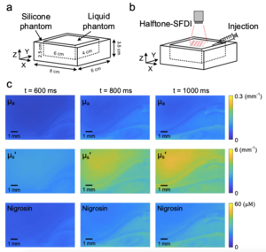 High-speed quantitative monitoring of highly-dynamic flow field