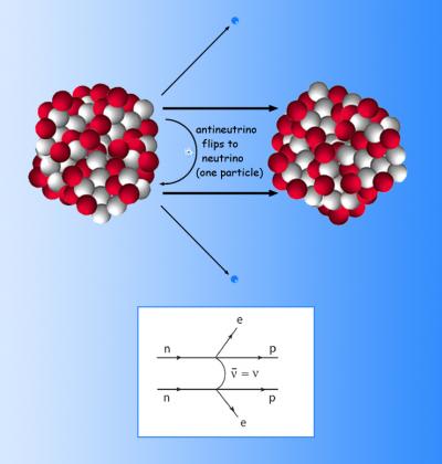 Neutrinoless Double-Beta Decay [IMAGE] | EurekAlert! Science News Releases